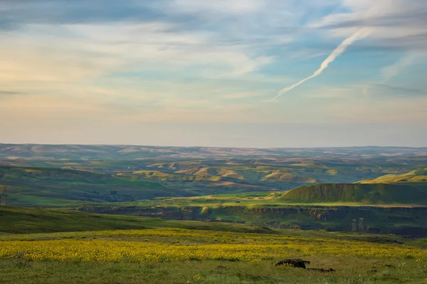 Jarní květiny ve východní Oregon — Stock fotografie