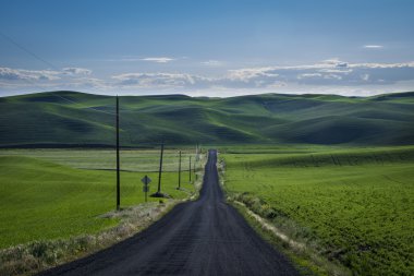 Çakıl yol Doğu Washington eyaleti buğday alanlarında