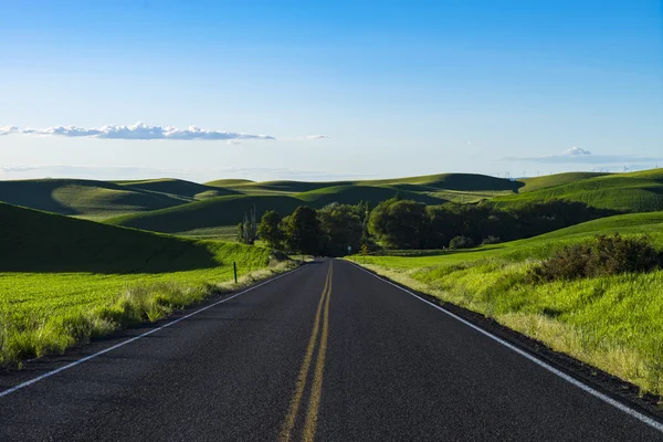 Carretera vacía en campos de trigo del este del estado de Washington — Foto de Stock
