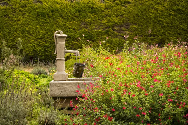 Антикварный насос в саду — стоковое фото