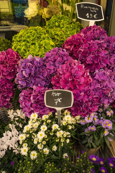 Flores para la venta en Paris tienda —  Fotos de Stock