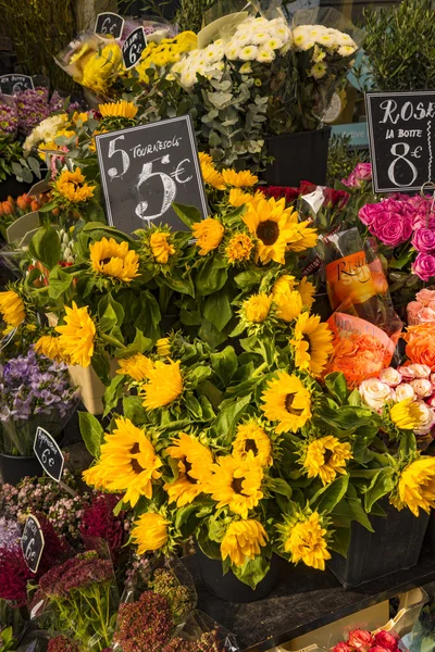 Girasoles en venta en París floristería —  Fotos de Stock