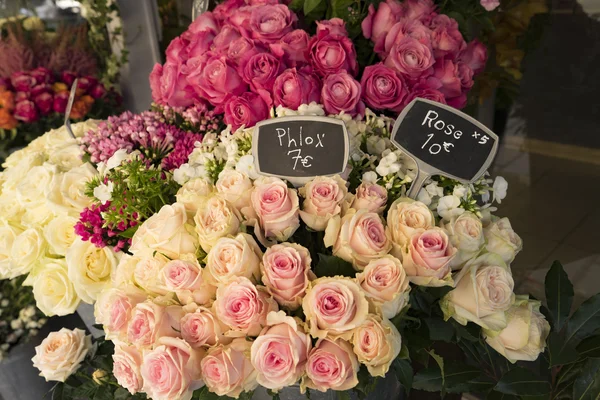 Roses for sale in Paris flower shop