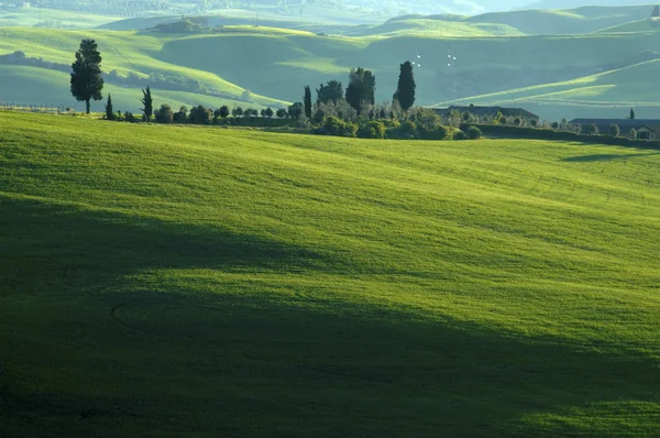 Zelená pole v regionu Toskánsko, Itálie — Stock fotografie