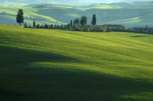 Campos verdes en la región Toscana de Italia — Foto de Stock