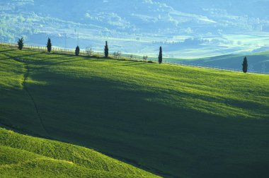 Tuscany bölgesi İtalya'nın yeşil alanlar