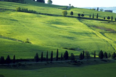 Tuscany bölgesi İtalya'nın yeşil alanlar