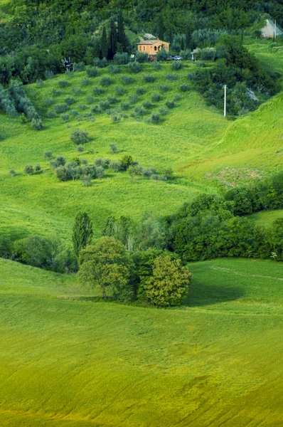 Καταπράσινους λόφους στην Τοσκάνη της Ιταλίας — Φωτογραφία Αρχείου