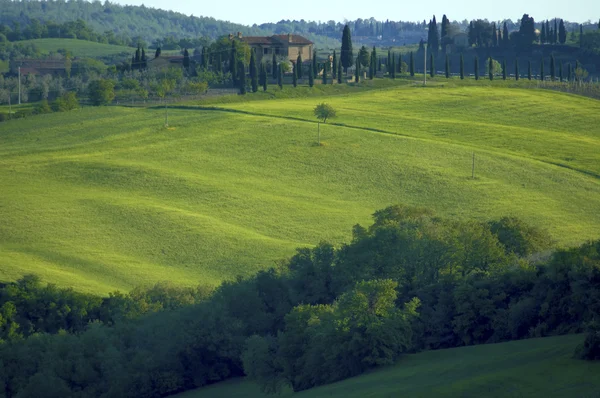 Verdi colline in Toscana regione d'Italia — Foto Stock