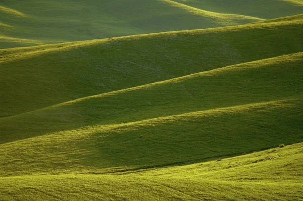 Colinas verdes na região da Toscana, Itália — Fotografia de Stock