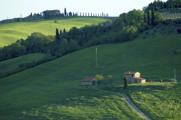 Campos verdes en la región Toscana de Italia — Foto de Stock