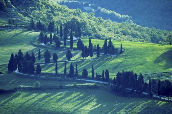 Πράσινα λιβάδια Ιταλικά — Φωτογραφία Αρχείου