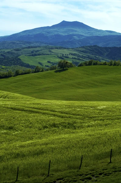 Groene Italiaanse velden — Stockfoto