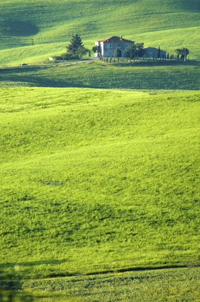 Campos verdes italianos — Fotografia de Stock