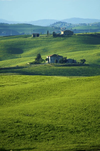 Gröna italienska fält — Stockfoto