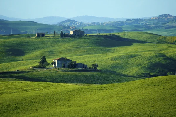 Groene Italiaanse velden — Stockfoto
