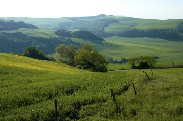 Hills in Tuscany region of Italy — Stock Photo, Image