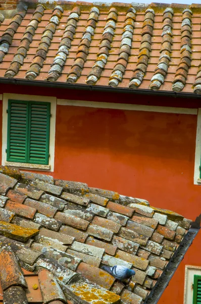Italian pantile roofs Stock Picture