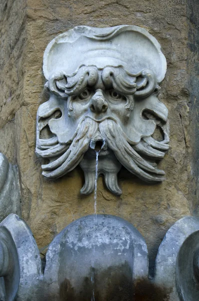 Gargoyle faccia su una fontana — Foto Stock