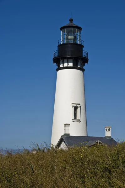 Farol de Yaquina Head, Newport Oregon — Fotografia de Stock