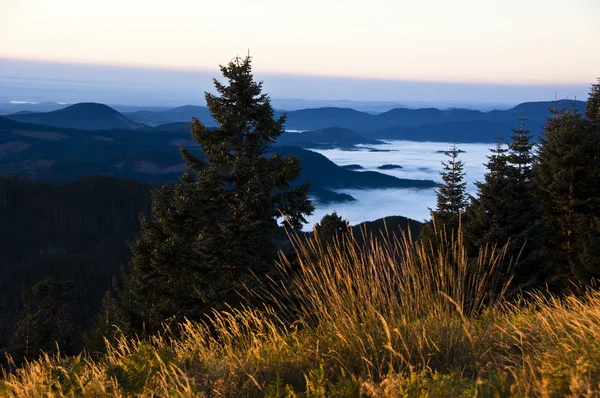 Sonnenaufgang über dem Willamette-Tal oder lizenzfreie Stockbilder