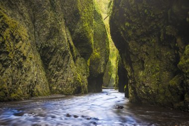 Yeşil yosunlu Kanyon