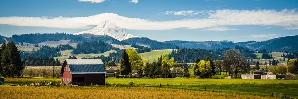 Fienile Rosso Tra Frutteti Mele Sotto Una Montagna Innevata Hood — Foto Stock