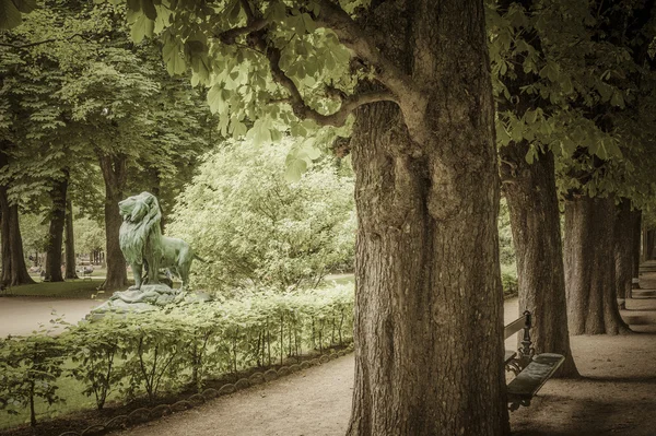Bronsstaty Lion Luxembourg Trädgården Paris Frankrike — Stockfoto
