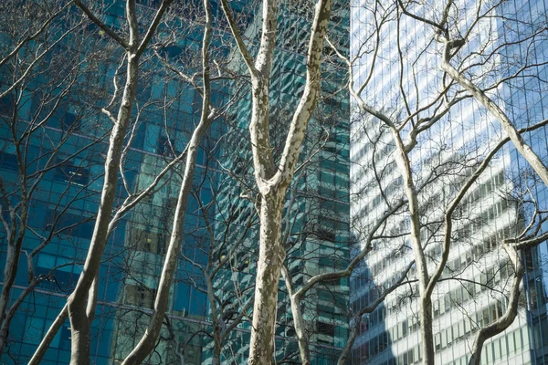 Árboles y edificios modernos, Ciudad de Nueva York — Foto de Stock