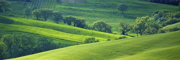 Sonnige italienische Felder — Stockfoto