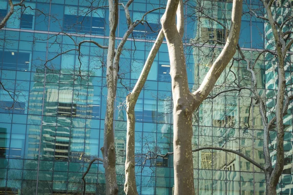 Деревья и современные здания, Нью-Йорк — стоковое фото