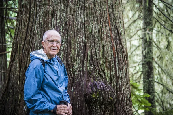 Elderly active man hiking in forest — Stock Photo, Image