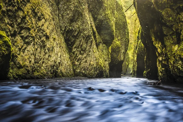 緑のコケに覆われた峡谷 — ストック写真