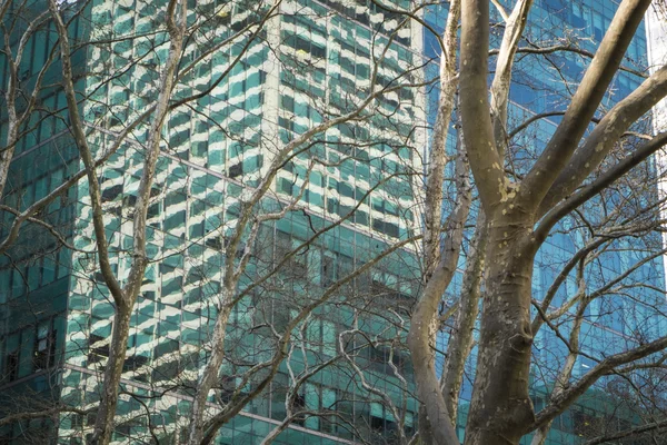 Bäume und moderne Gebäude, New York City — Stockfoto