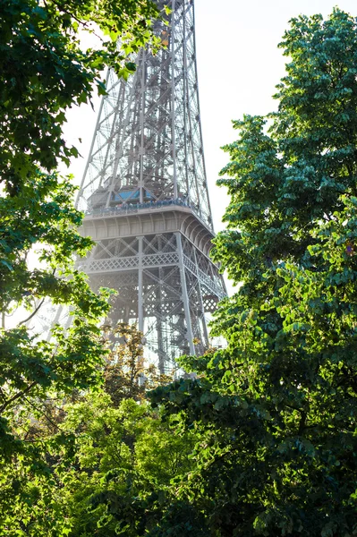 Eiffelturm, Paris, Frankreich, umgeben von sommerlichem Laub — Stockfoto