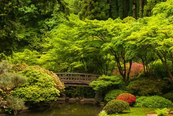 Ξύλινη γέφυρα σε έναν ιαπωνικό κήπο — Φωτογραφία Αρχείου
