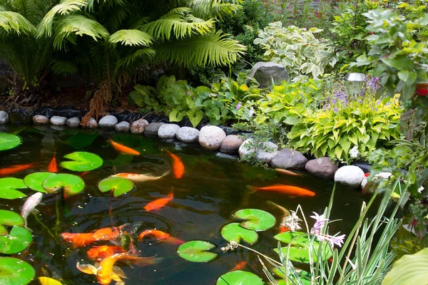 In the court near the house, a small artificial pond is surrounded by green bushes