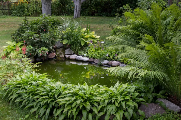 Evin yakınındaki avluda, küçük bir yapay gölet yeşil çalılarla çevrilidir.