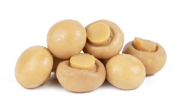 Lezzetli salamura edilmiş mahodalar beyaz arka planda izole edilmiş.