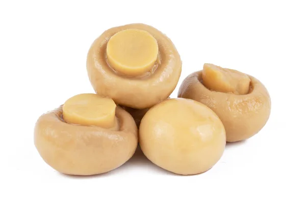 Tasty Pickled Marinated Mushrooms Isolated White Background — Stock Photo, Image