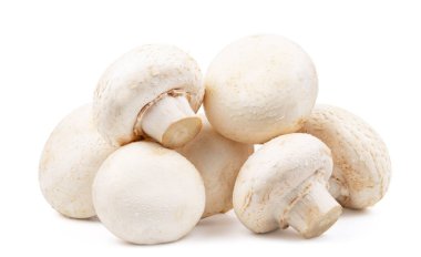 Beyaz arkaplanda izole edilmiş mantar grubu