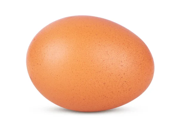 Único ovo de galinha marrom isolado no fundo branco — Fotografia de Stock