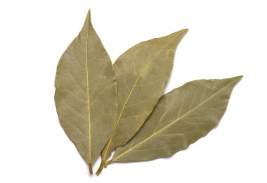 Körfez yaprakları beyaz arkaplanda izole edilmiş. Yakın plan.