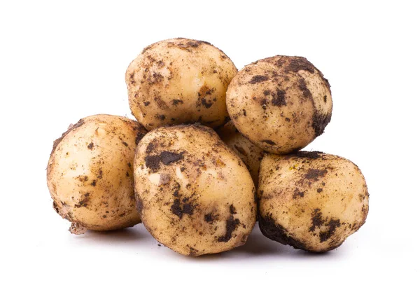 Patatas crudas sin lavar con tierra aislada sobre fondo blanco —  Fotos de Stock
