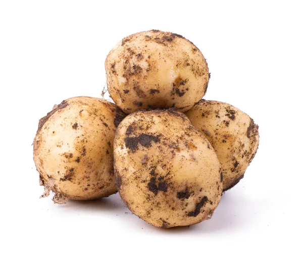 Syrové nemyté brambory s půdou izolovanou na bílém pozadí — Stock fotografie