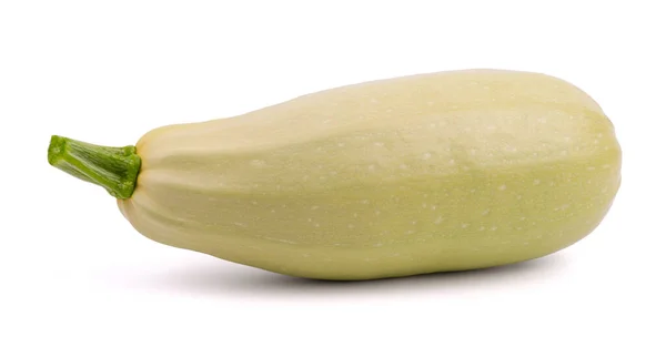 Zucchini isolerad på vit bakgrund närbild — Stockfoto