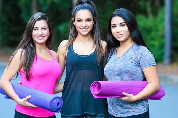 Gruppen-Fitnesstraining — Stockfoto