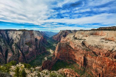 Zion national park