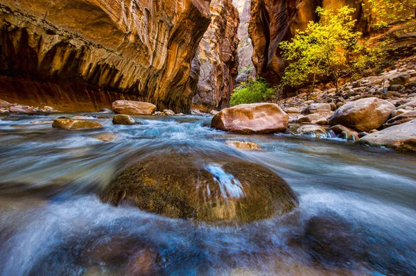 Parque nacional de Zion — Foto de Stock