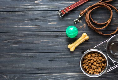 Köpek besleme ve bakım geçmişi. Hayvan bakımı ve eğitim konsepti. Oyuncaklar, toplar, kemikler, tasma, oyun ve antrenman için tasma